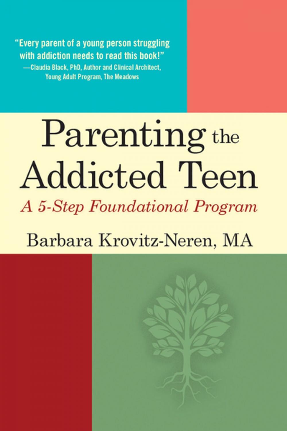 Big bigCover of Parenting the Addicted Teen