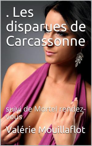 Cover of the book Les disparues de Carcassonne by Lizzie Vega