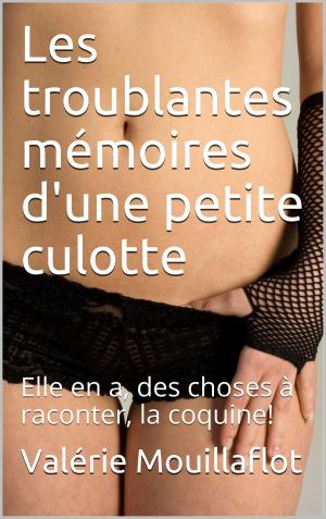 Cover of the book Les troublantes mémoires d'une petite culotte by Jean-Paul Dominici