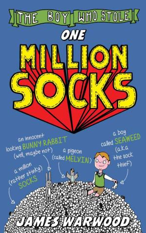 Cover of the book The Boy Who Stole One Million Socks by Thomas Mercaldo