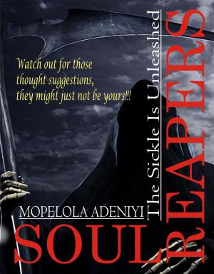 Cover of the book SOUL REAPERS by CaSandra McLaughlin