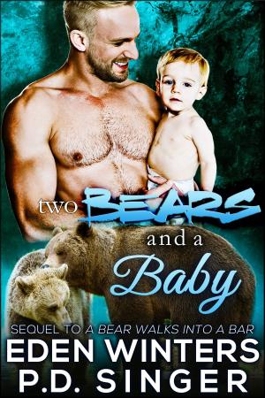 Cover of the book Two Bears and a Baby by T.M. Cromer