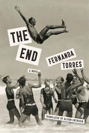 Book cover of The End