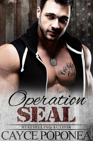 Cover of the book Operation SEAL by Andrew Martin