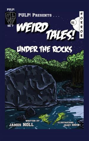 Cover of the book Under The Rocks by Alex J Ankrom