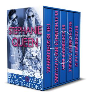 Book cover of Beachcomber Investigations Books 1-5