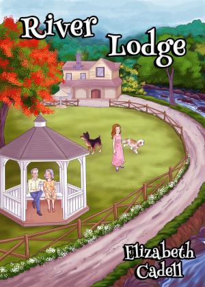 Cover of the book River Lodge by Marilyn Brant