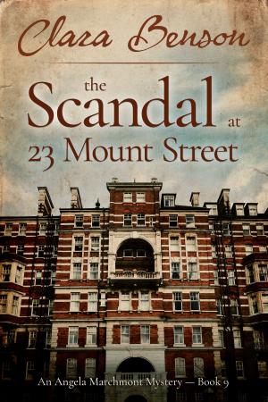 Cover of the book The Scandal at 23 Mount Street by Donna Joy Usher