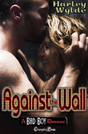 Cover of the book Against the Wall by Cassidy McKay