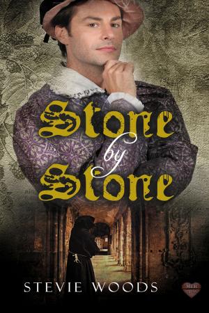 Cover of the book Stone by Stone by Liz Strange