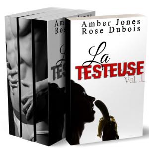 Cover of the book La Testeuse: L’INTÉGRALE by Amber Jones, Rose Dubois