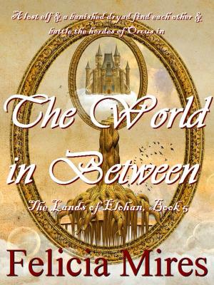 Cover of the book The World in Between by Ben Silver