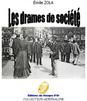 Cover of the book les Drames de société by Vittorio Schiraldi