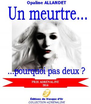 Cover of the book Un meurtre... pourquoi pas deux ? by Brett Halliday