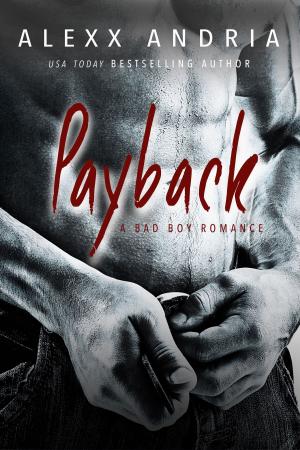 Cover of the book Payback by Michelle Lynn