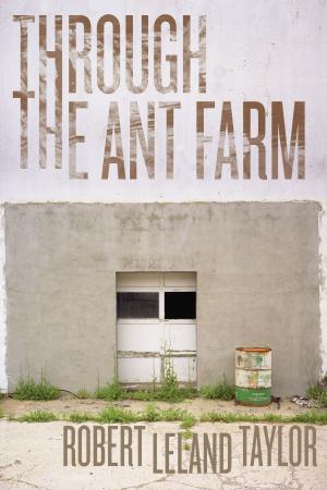 Cover of the book Through the Ant Farm by Tom Pitts
