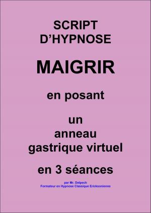Book cover of La pose de l'anneau gastrique virtuel