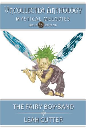 Cover of the book The Fairy Boy-Band by Rose Leighton