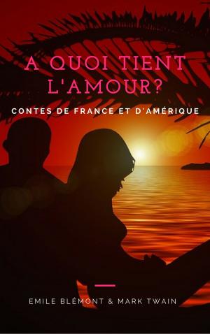 Cover of the book A quoi tient l'amour? Contes de France et d'Amérique by Charles Dickens, John Leech