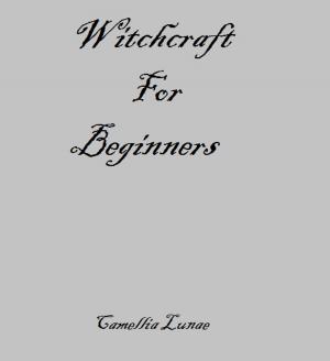 Cover of the book Witchcraft for Beginners by Scott Love
