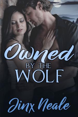 Cover of the book Owned by the Wolf by Chula Stone