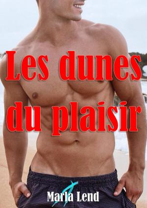 Cover of the book Les dunes du plaisir by Ciar Cullen