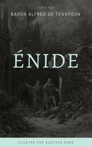 Book cover of Enide