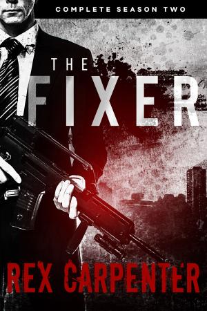 Cover of the book The Fixer, Season 2: Complete by S. J. Vogt