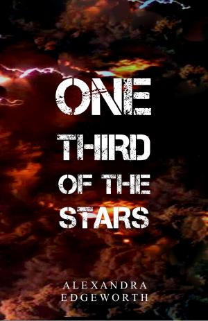 Book cover of One Third of the Stars