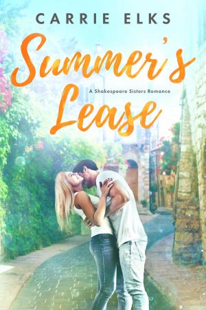 Cover of the book Summer's Lease by Ann London Fish, Pixelise illustration