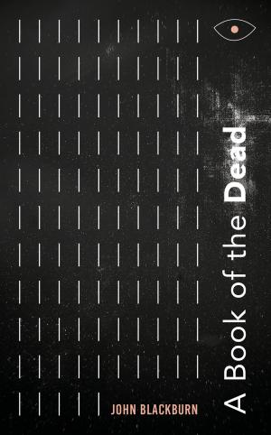 Cover of the book A Book of the Dead by David Storey