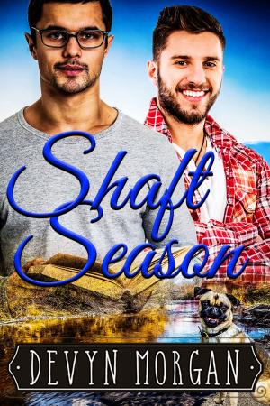 Book cover of Shaft Season