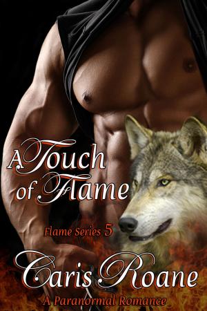 Cover of the book A Touch of Flame by Valerie King