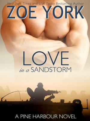 Cover of the book Love in a Sandstorm by Zoe York