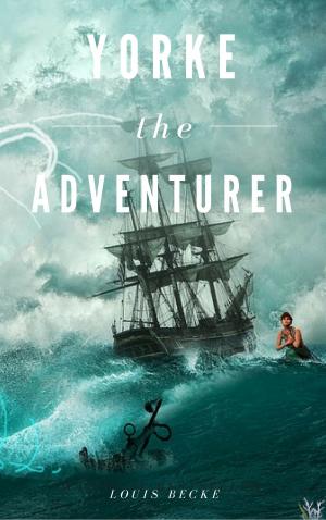 Cover of the book Yorke The Adventurer by Christopher Fox