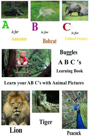 Cover of Buggles A B C Learning Book