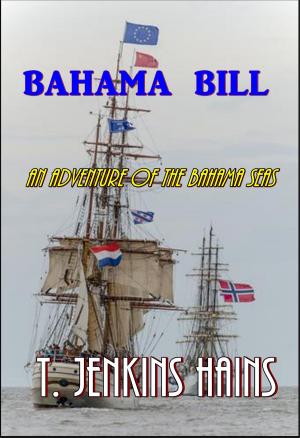 Cover of the book Bahama Bill by Hulbert Footner