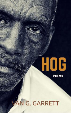 Cover of the book HOG by Connie Boje