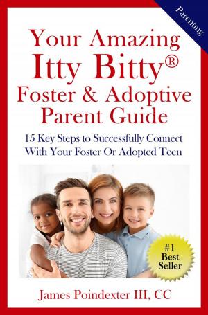 Cover of Your Amazing Itty Bitty® Foster & Adoptive Parent Guide