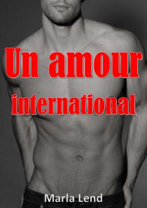 Book cover of Un amour international