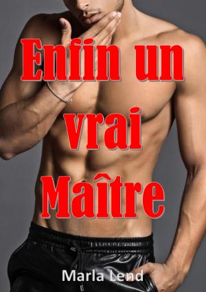 Book cover of Enfin un vrai Maître