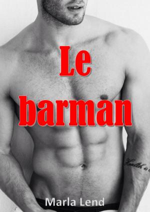 Book cover of Le barman