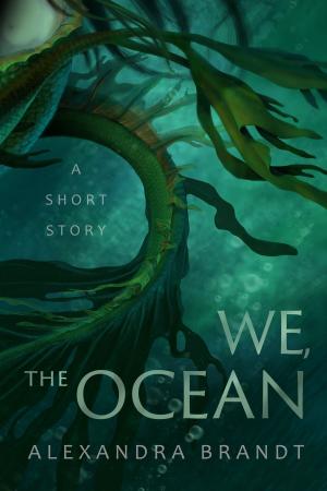 Cover of the book We, the Ocean by Alexandra Brandt