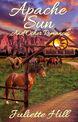 Cover of the book Apache Sun and Other Romances by Angel Nichols