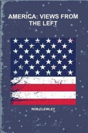 Book cover of America Views From the Left