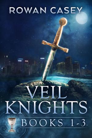 bigCover of the book Veil Knights Box Set 1 by 