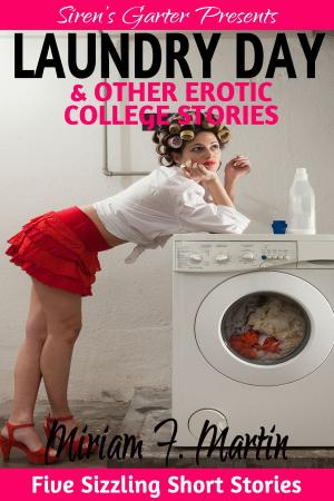 Cover of the book Laundry Day & Other Erotic College Stories by D. Anthony Brown