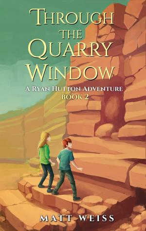 Cover of the book Through the Quarry Window by Praveen Crypty R