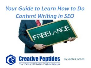 Book cover of Your Guide to Learn How to Do Content Writing in SEO
