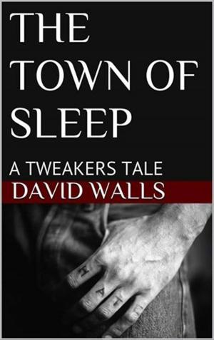 Cover of the book THE TOWN OF SLEEP by Ryne Douglas Pearson